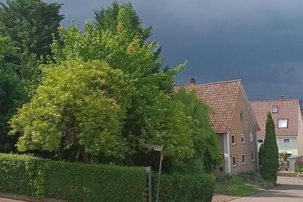 Ein-Zimmer-Wohnung in Erbach (Stadt) 1 zimmer