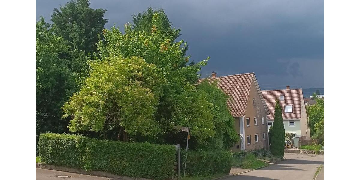 Ein-Zimmer-Wohnung in Erbach (Stadt) 1 zimmer