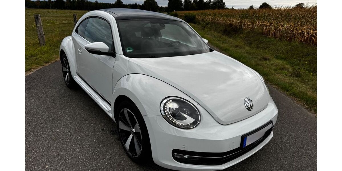 VW Beetle 119.500 km 8.999 &euro; Vierhöfen 21444