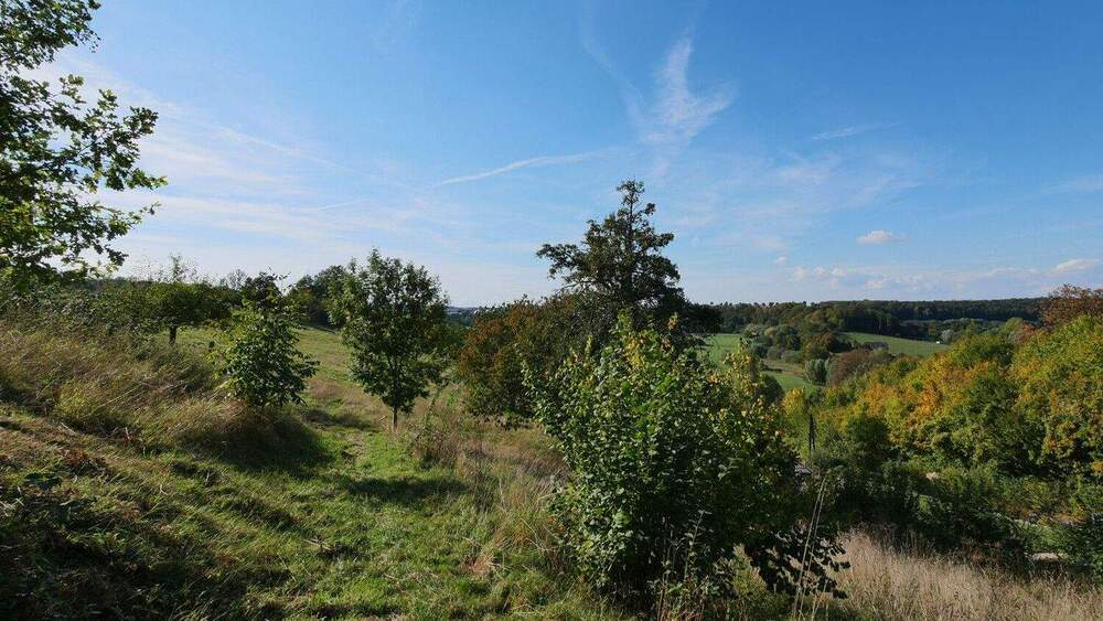 Grundstück Büren Wewelsburg - 70.000&euro; | Angebot:22998453