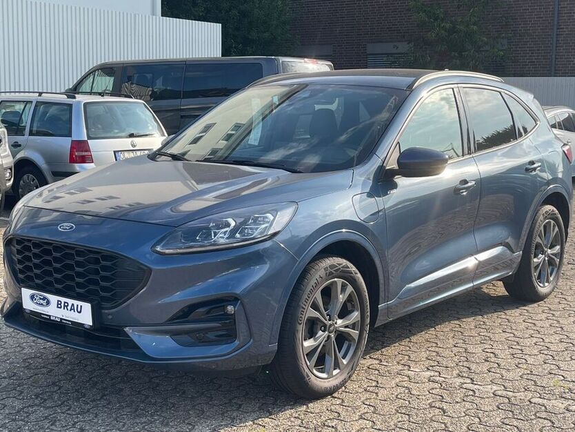 Kuga