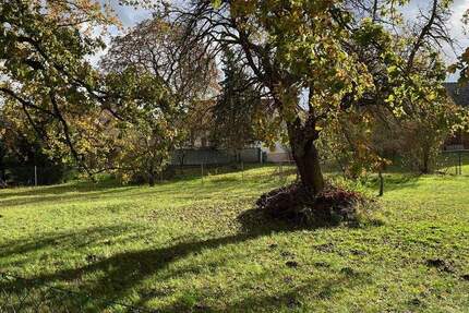 Raum für Ideen: Baugrundstück mit Südausrichtung in Kolkwitz zimmer