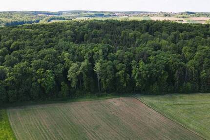 Grundstück Treuchtlingen Auernheim Auernheim - 21.452&euro; | Angebot:25664488