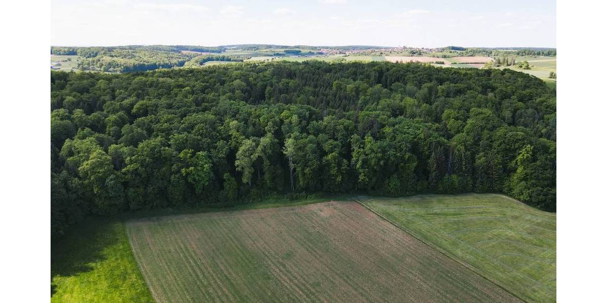 Grundstück Treuchtlingen Auernheim Auernheim - 21.452&euro; | Angebot:25664488