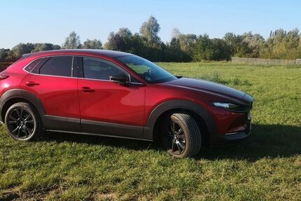 Mazda CX-30 2.500 km 36.000 € Heppenheim an der Bergstrasse 64646