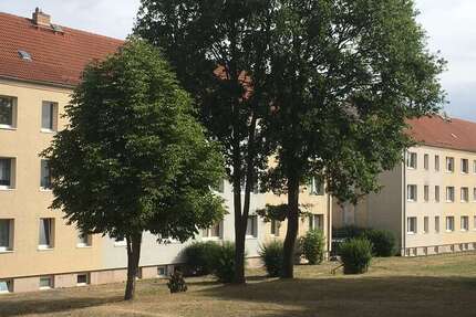 Wohnung Schwedt - 3 Zimmer, 58 m&sup2;, 365&euro; | Angebot:25519607