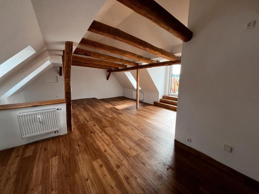 Sanierte 2-Raum Dachgeschosswohnung mit Warnowzugang zimmer