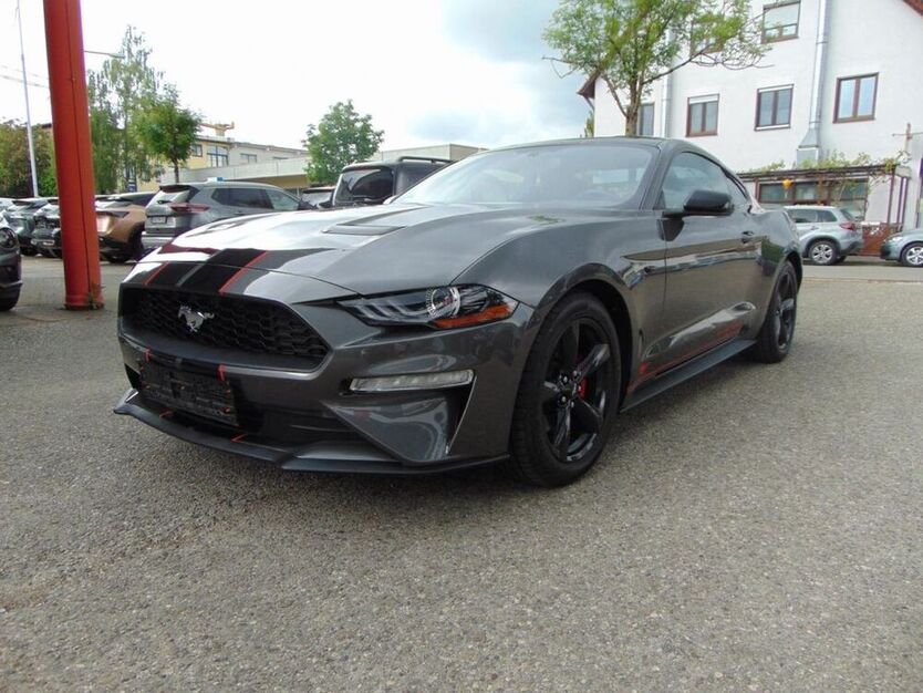 Mustang