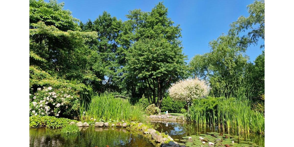 Bauernhaus, Landhaus Kaltenkirchen - 3 Zimmer, 217 m&sup2;, 1.985&euro; | Angebot:25942846