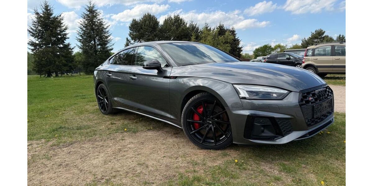 Audi S5 229.615 km 31.999 &euro; Gnevsdorf 19395