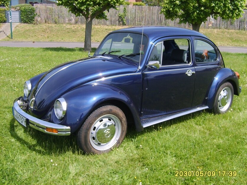 Käfer (vor 1998)