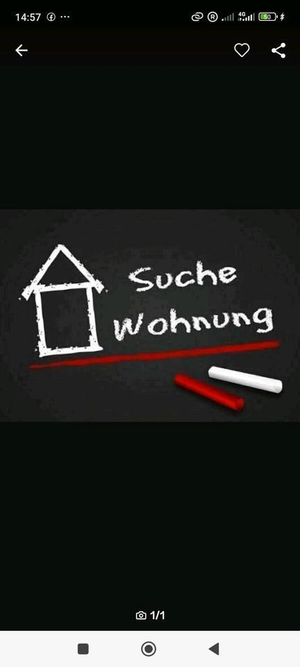 Wohnung oder Haus zimmer