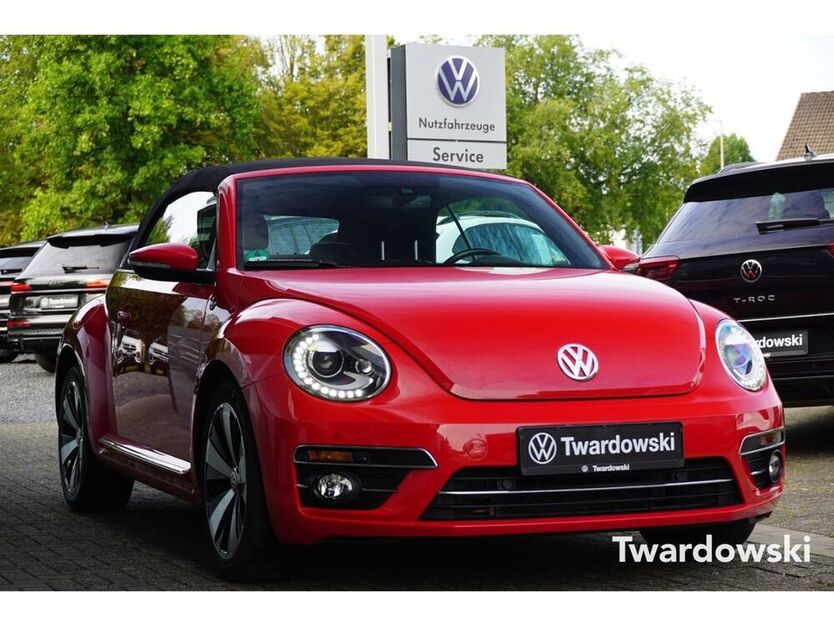 Beetle