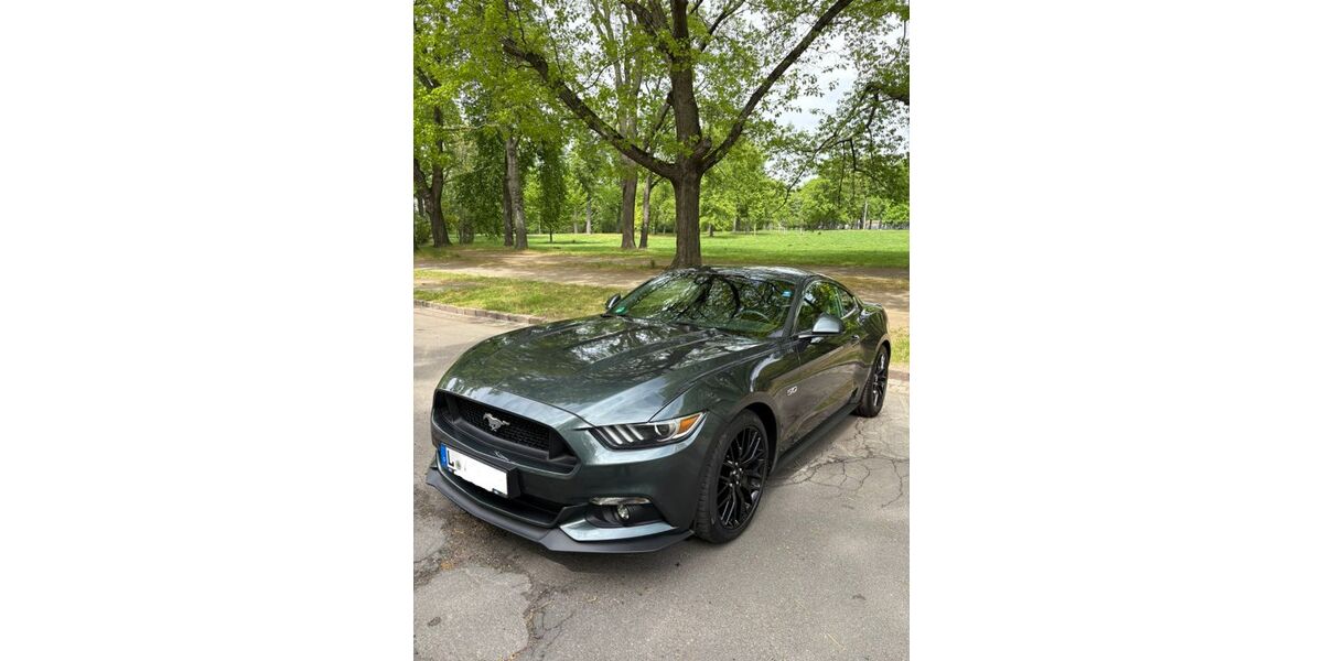 Ford Mustang 160.000 km 25.000 &euro; Leipzig 04318