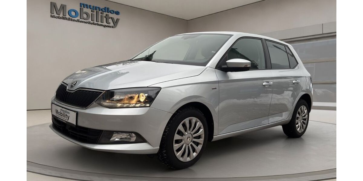 Skoda Fabia 118.500 km 11.100 &euro; Braunschweig 38114