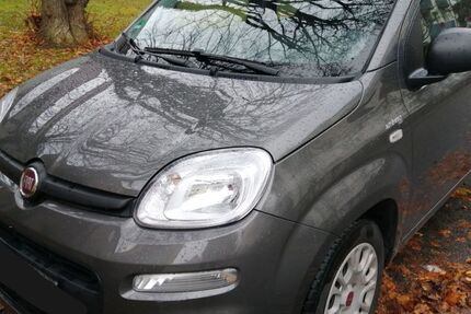Fiat Panda 40.421 km 8.200 € Fürstenfeldbruck 82256