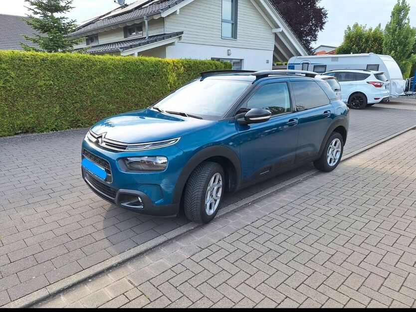 C4 Cactus