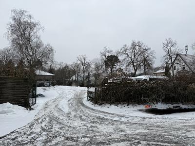 GRUNDSTÜCK IN ZENTRALER LAGE - Grundstück Zeuthen | Angebot:26276494