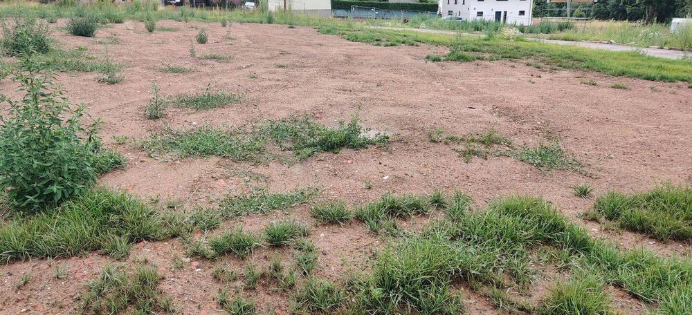 Grundstück Flöha Falkenau - 87.120&euro; | Angebot:25781308