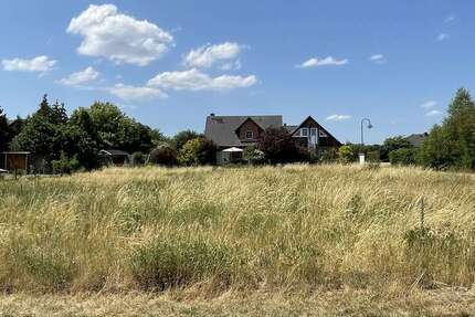 Grundstück Ludwigslust - 84.000&euro; | Angebot:25451659