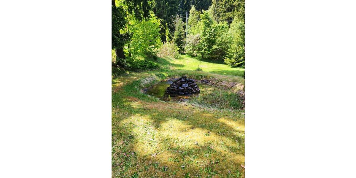 Villa Altenberg - 16 Zimmer, 300 m&sup2;, 440.000&euro; | Angebot:26926222