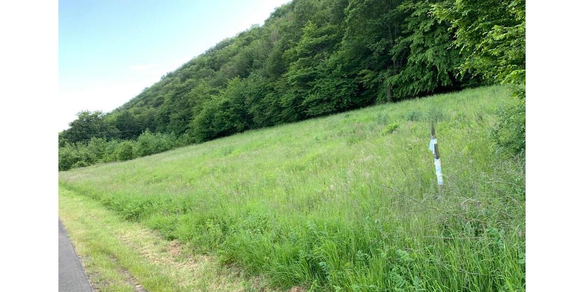 Grundstück Senheim - 14.450&euro; | Angebot:11233803