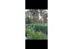 Schönster Garten in Tornesch zu verkaufen