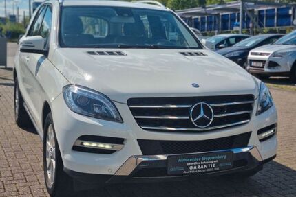 Mercedes ML 250