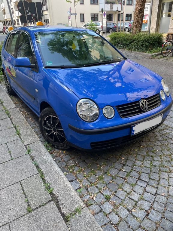 Polo