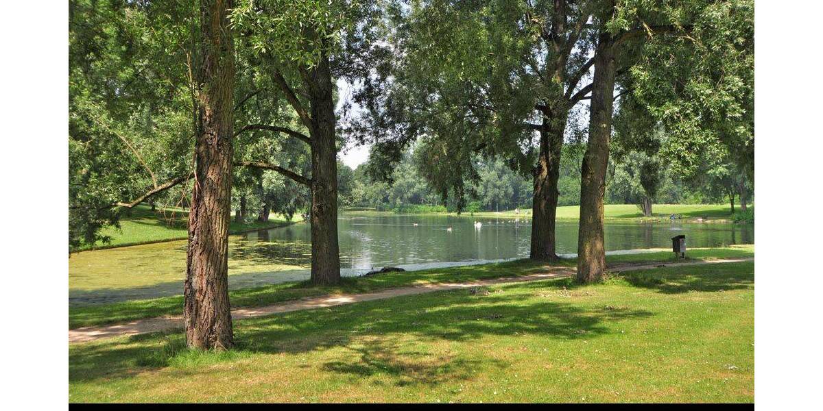 Plittersdorf: Baugrundstück mit Townhouse-Projektierung in Rheinnähe. zimmer