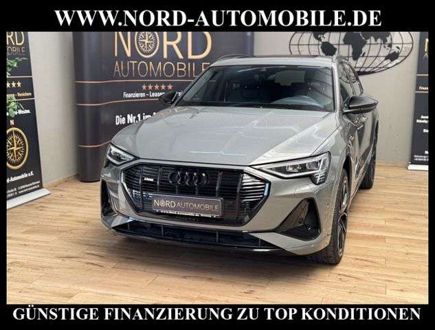 Audi e-tron 90.600 km 31.700 &euro; Rastede/ Wahnbek 26180