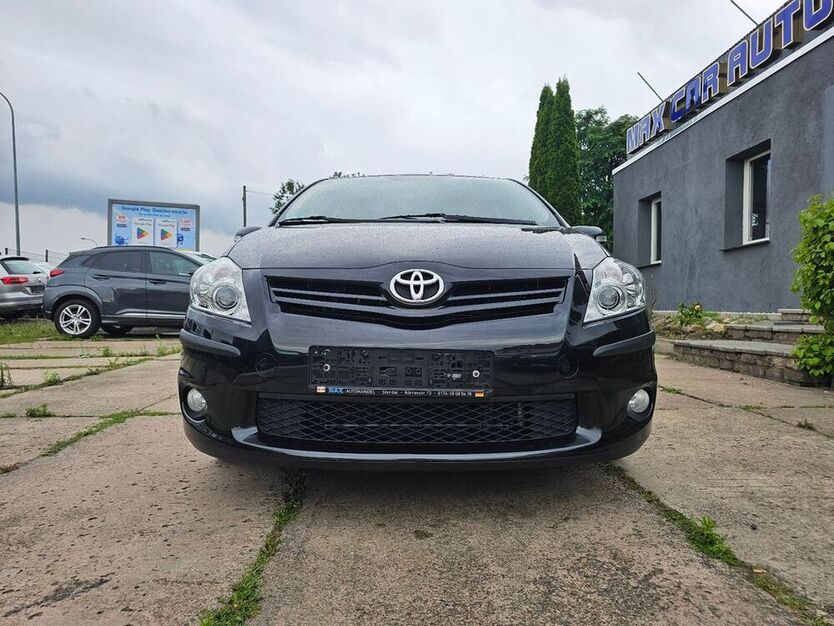 Auris