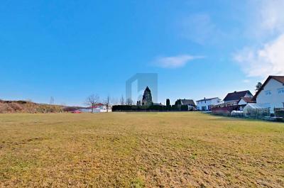 ATTRAKTIVE ENTWICKLUNGFLÄCHE IN BEGEHRTER LAGE - Grundstück Seybothenreuth | Angebot:25645532