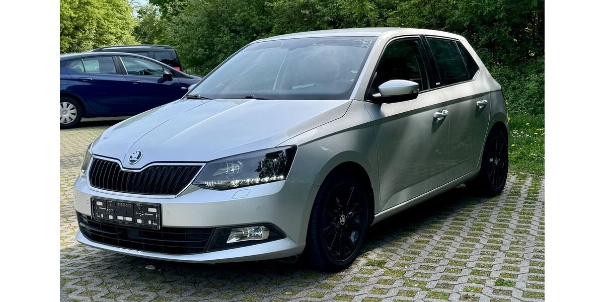 Skoda Fabia 106.700 km 7.299 &euro; Wiesbaden 65201