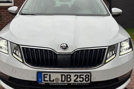 Skoda Octavia 166.000 km 15.500 &euro; Haren 49733