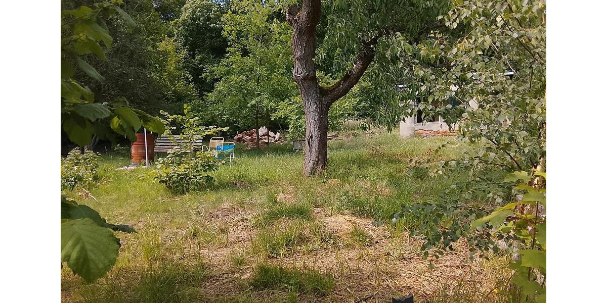 Einfamilienhaus Großschönau - 6 Zimmer, 180 m&sup2;, 65.000&euro; | Angebot:27118323