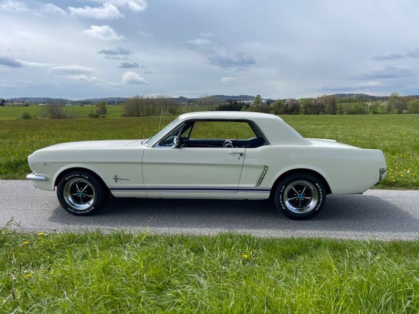 Mustang