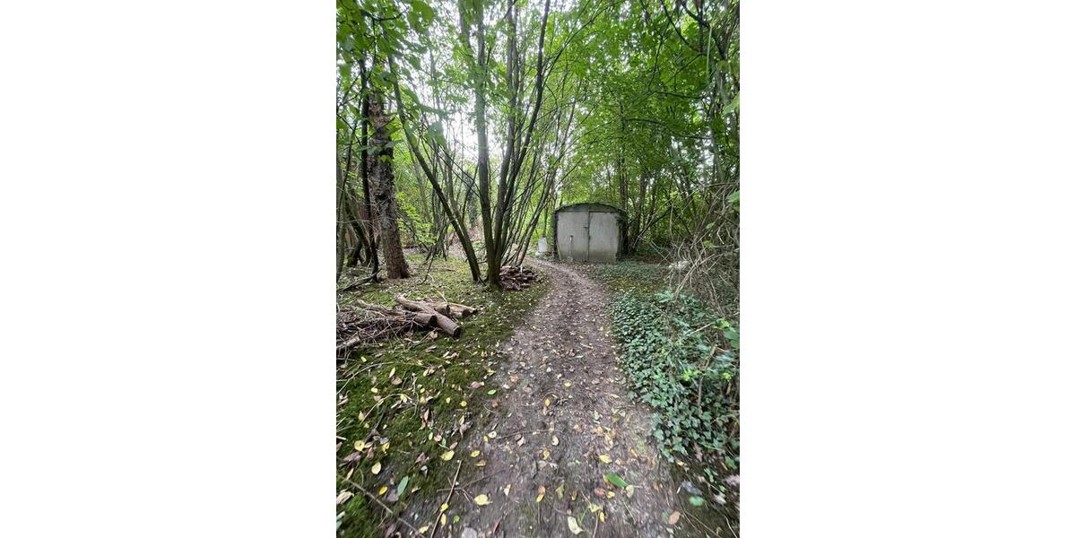 Einfamilienhaus Hatten - 2.5 Zimmer, 105 m&sup2;, 350.000&euro; | Angebot:24680957