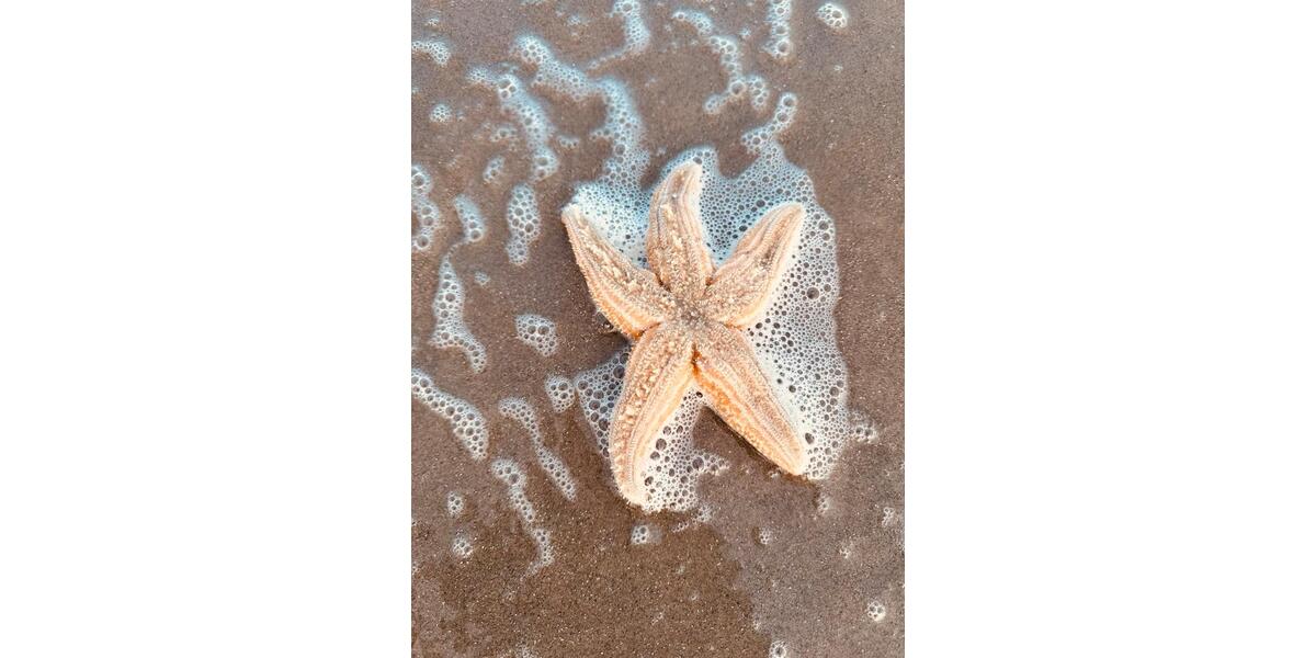 Etagenwohnung Lippstadt - 3 Zimmer, 47 m&sup2;, 689.000&euro; | Angebot:26266034