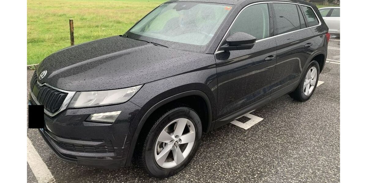 Skoda Kodiaq 215.000 km 14.744 &euro; Lenggries,Fleck 83661