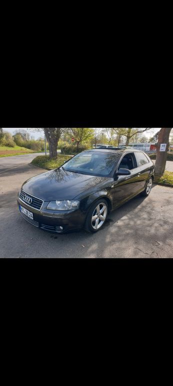 A3
