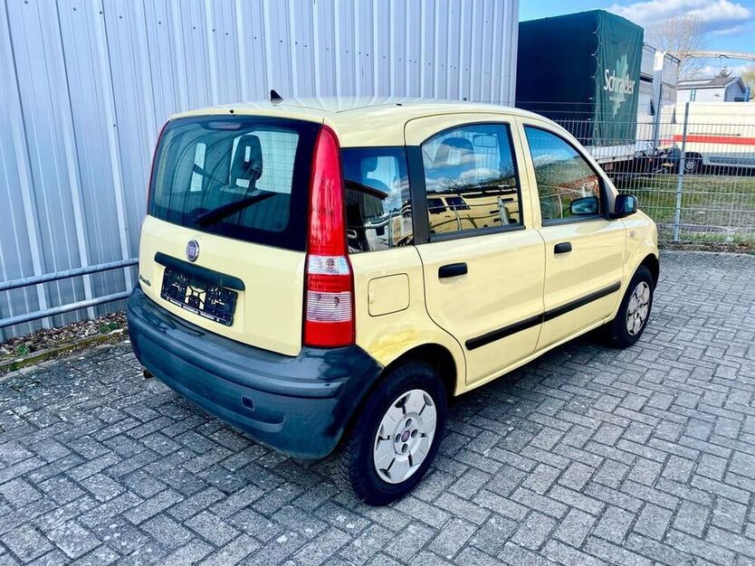 Panda