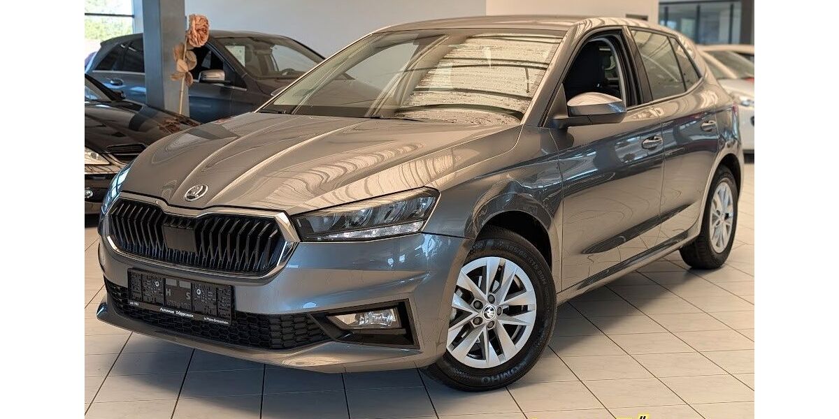 Skoda Fabia 29.400 km 14.990 &euro; Mainz 55128