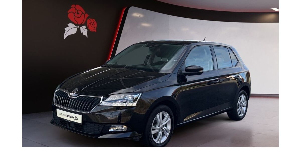 Skoda Fabia 54.680 km 12.549 &euro; Villingen-Schwenningen 78052