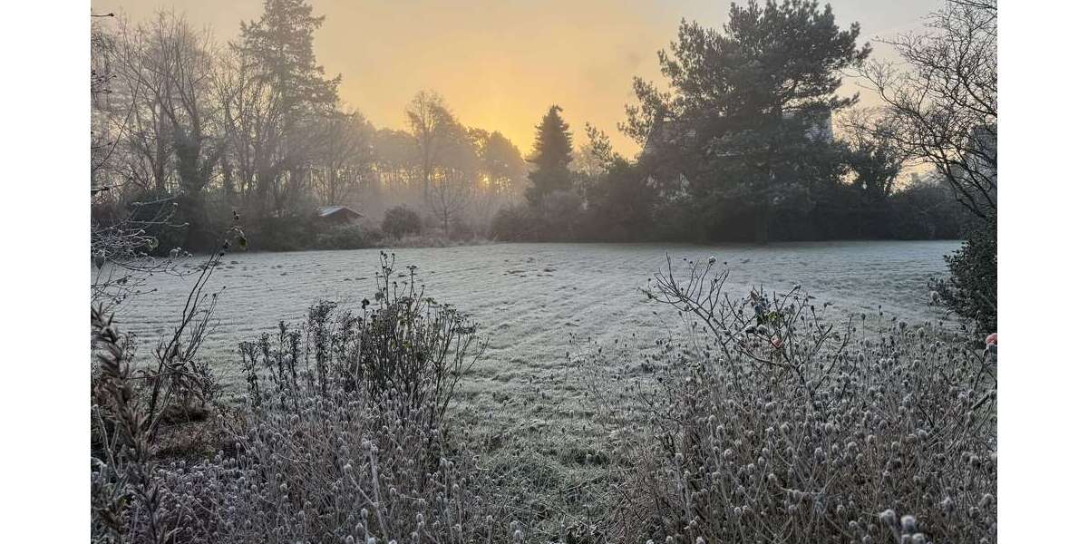 Grundstück Swisttal Buschhoven - 1.300.000&euro; | Angebot:24748377