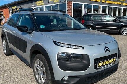 Citroen C4 Cactus 92.100 km 6.895 &euro; Heide 25746