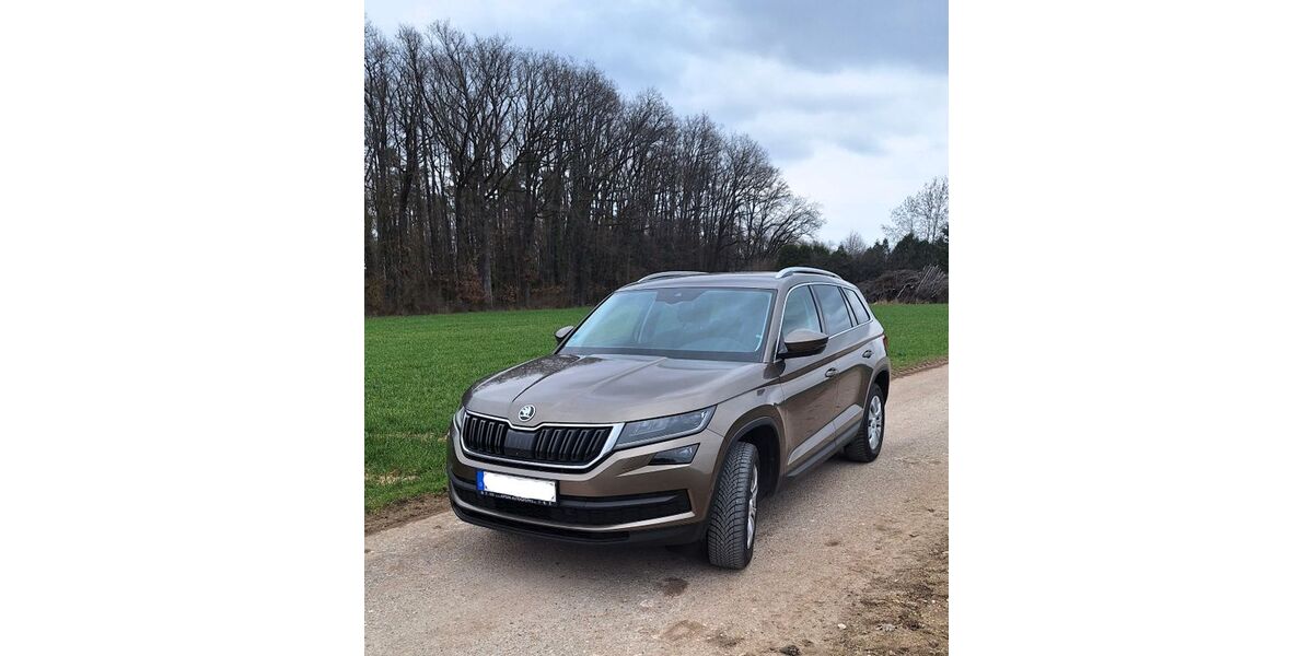 Skoda Kodiaq 175.719 km 14.900 &euro; Sinzing 93161