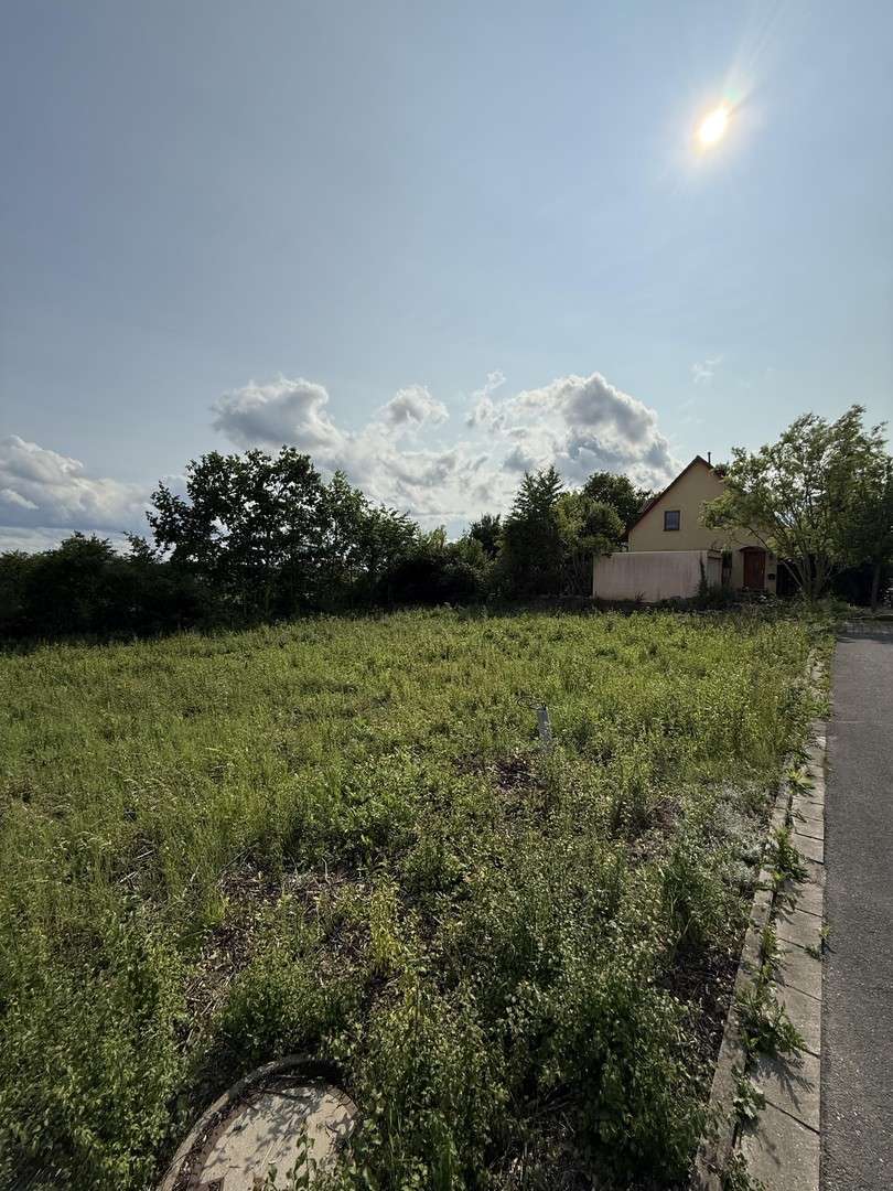 Grundstück zu verkaufen in Höchstadt an der Aisch 352.000 € 800 m² zimmer