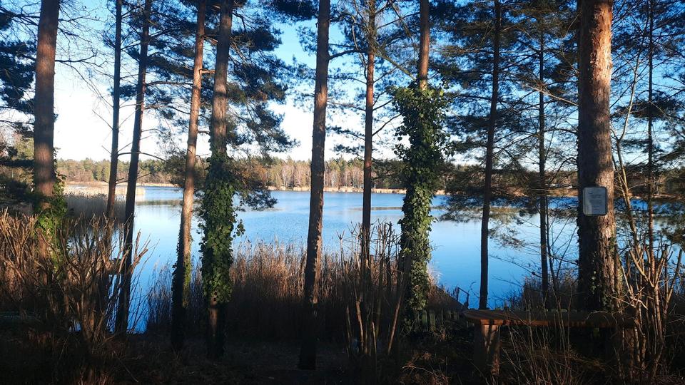 Wochenendgrundstück 750 qm in Möhlau am Möhlauer See zu verkaufen zimmer