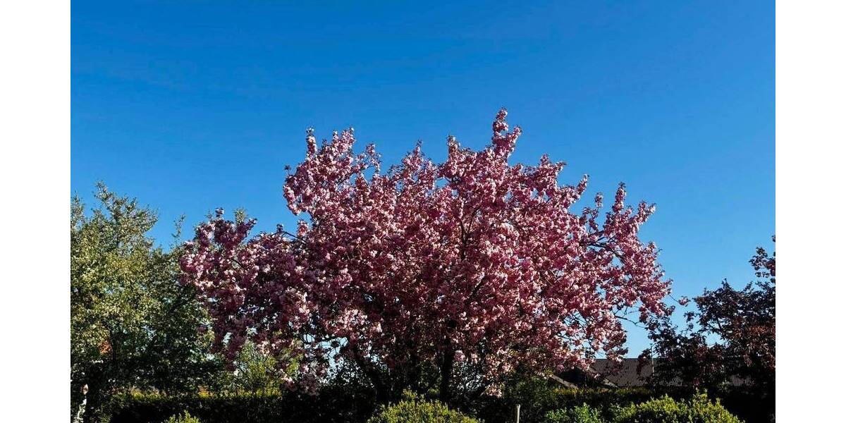 Grundstück Valley / Oberlaindern Oberlaindern - 2.200.000&euro; | Angebot:26594883